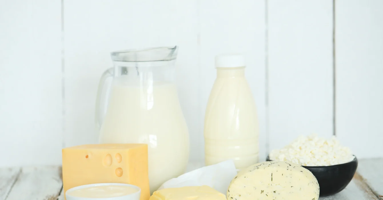 dairy-products_11zon هزینه راهاندازی خط تولید پنیر پیتزا
